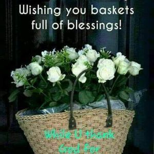 Meet your Posher, Colleen